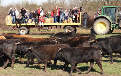 El Campo chez Roland Durand