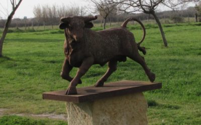Visite du 8/03/2021 à la Ganadéria Cuillé