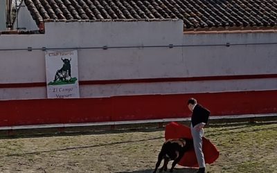 Une journée à Gallician